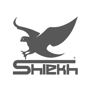 Shiekh Shoes