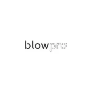 Blow Pro
