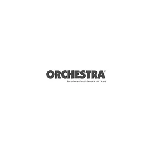 Orchestra