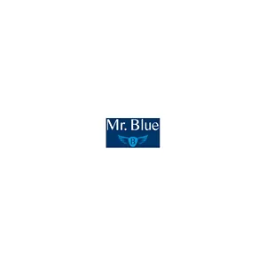 Mr. Blue Outlet